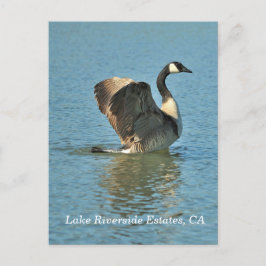 Lago Riverside Estates, CA Cartão postal