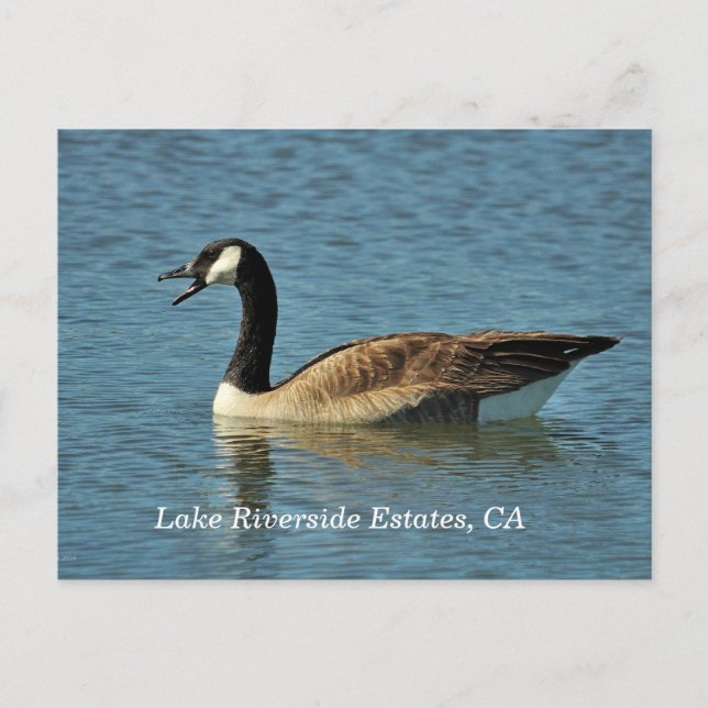 Lago Riverside Estates, CA Cartão postal (Frente)