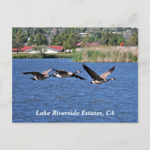 Lago Riverside Estates, CA Cartão postal