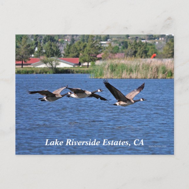 Lago Riverside Estates, CA Cartão postal (Frente)