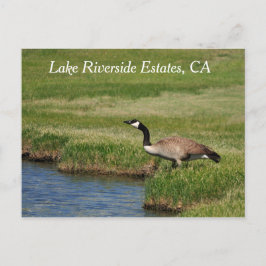 Lago Riverside Estates, CA Cartão postal