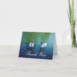 Lago Swan - obrigado cartões