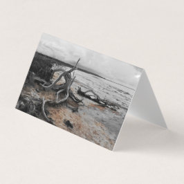 Lago Tyrrell Natural Forces Folheto