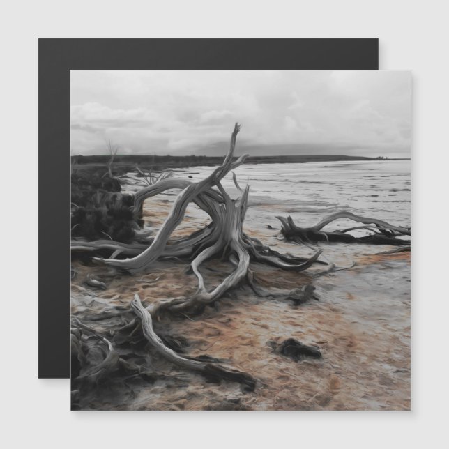 Lago Tyrrell Natural Forces Magnetic Card (Frente/Verso)