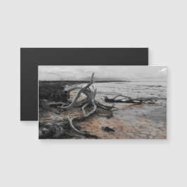 Lago Tyrrell Natural Forces Magnetic Card