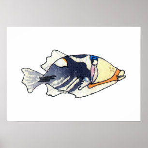 Lagoa Triggerfish Wall Art Poster