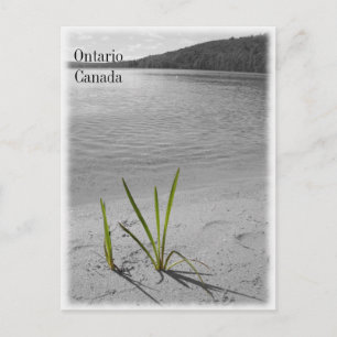 Lagos de Ontário, Canadá - Cartão postal preto