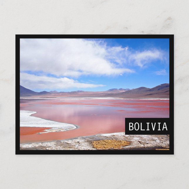 Laguna Colorada na Bolívia cartão postal preto (Frente)