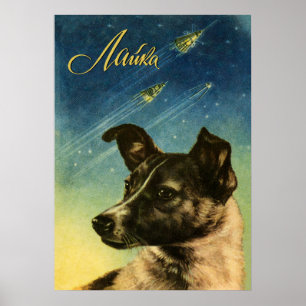 Laika, primeiro cão espacial — poster do espaç