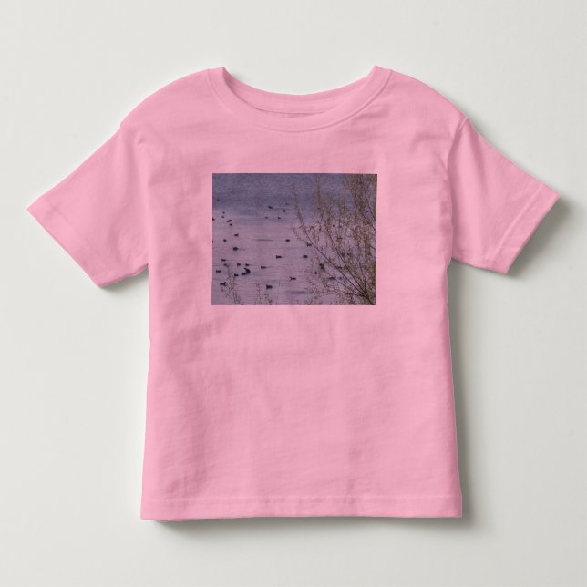 Lake Birds Toddlers Ringer T-Shirt (Frente)