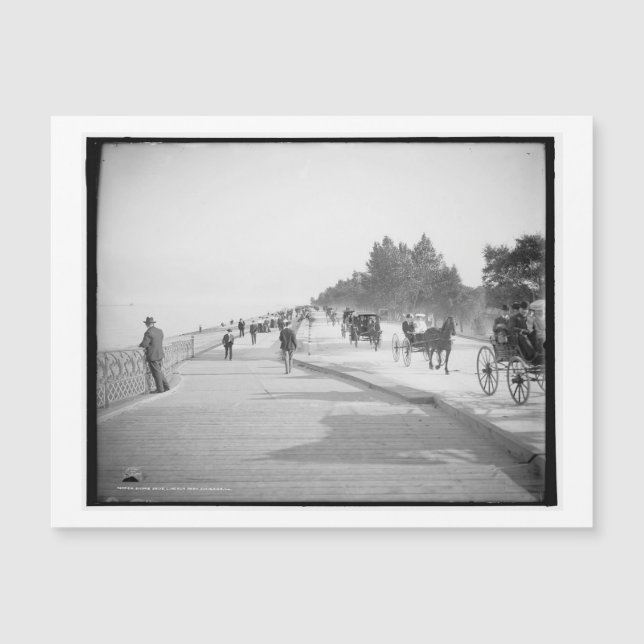 Lake Shore Drive, Chicago, Illinois Vintage (Frente)