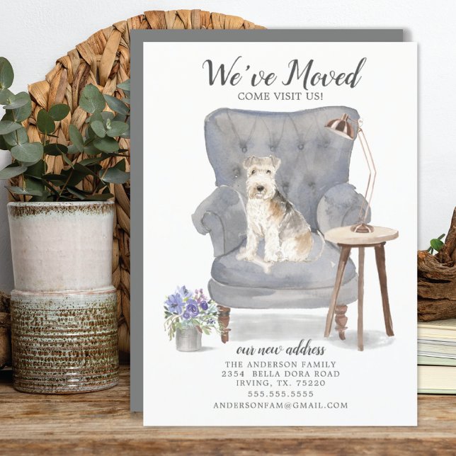 Lakeland Terrier Dog | Anúncio de mudança (Criador carregado)