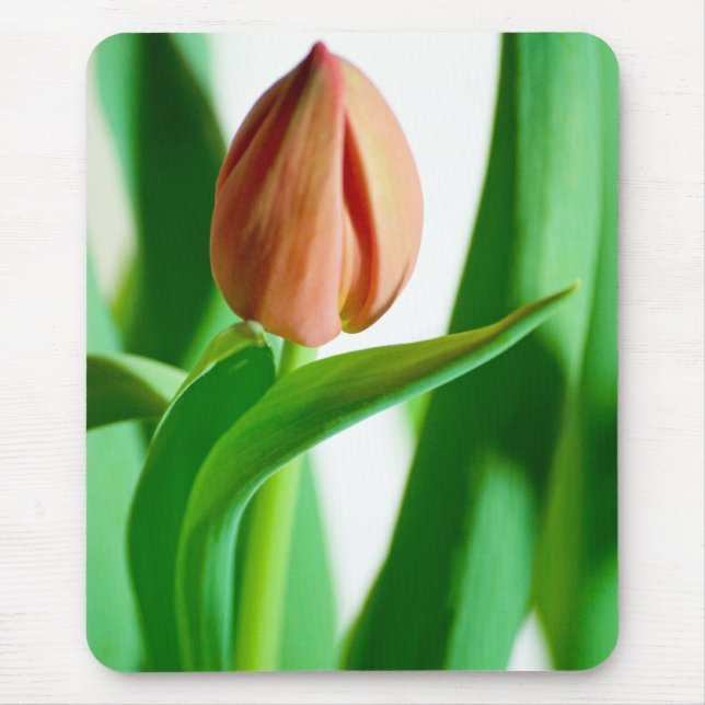 lala Tulip Mousepad (Frente)
