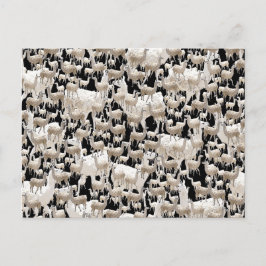Lama, cartão postal Llama