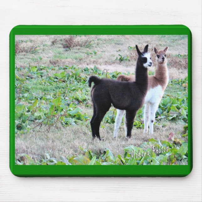 Lamas Mousepad do bebê (Frente)