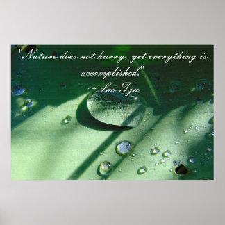 Lao Tzu Nature Quote Poster