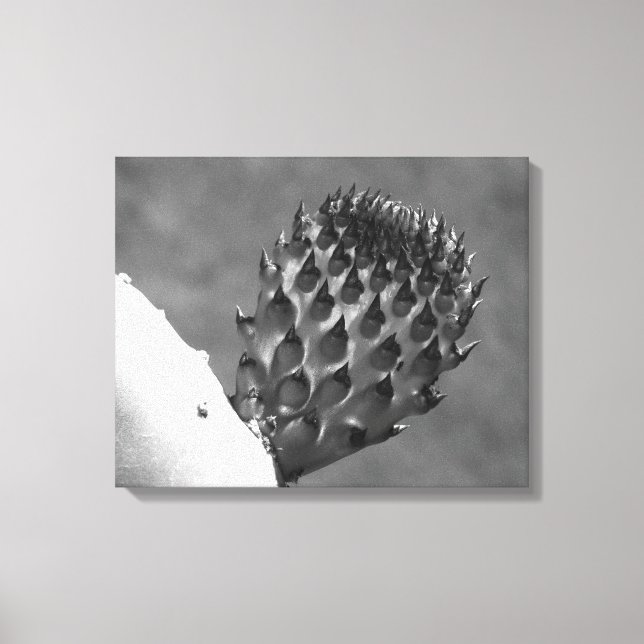 "Lar é onde está..." impressão em canvas (Frente)