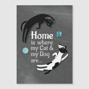 Lar é onde meu gato e meu cachorro estão