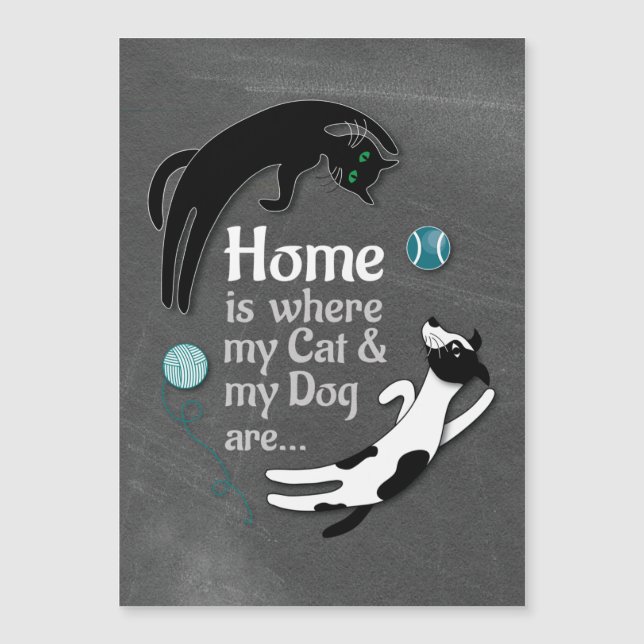 Lar é onde meu gato e meu cachorro estão (Frente)