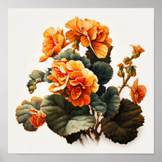 Laranja Begonias Flores Impressão