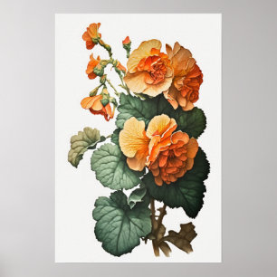 Laranja Begonias Flores Impressão