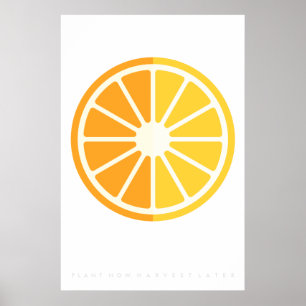 Laranja Citrus Retro Fruta Poster 60's 70
