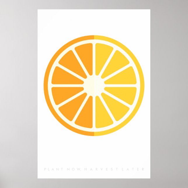 Laranja Citrus Retro Fruta Poster 60's 70 (Frente)