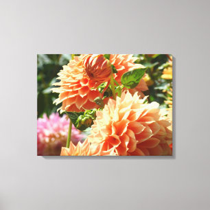 Laranja Dahlia Flores Canvas impressões de fotogra