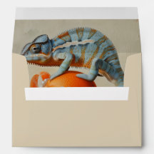 Laranja - Envelope para tamanho da placa 12,7 x 17