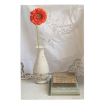 Laranja-gerbera e livros