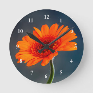 Laranja Gerbera - Relógio de parede acrílica