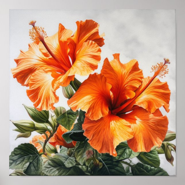 Laranja Hibiscus Flower Art Impressão (Frente)