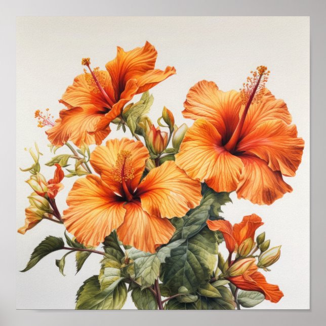 Laranja Hibiscus Flower Art Impressão (Frente)