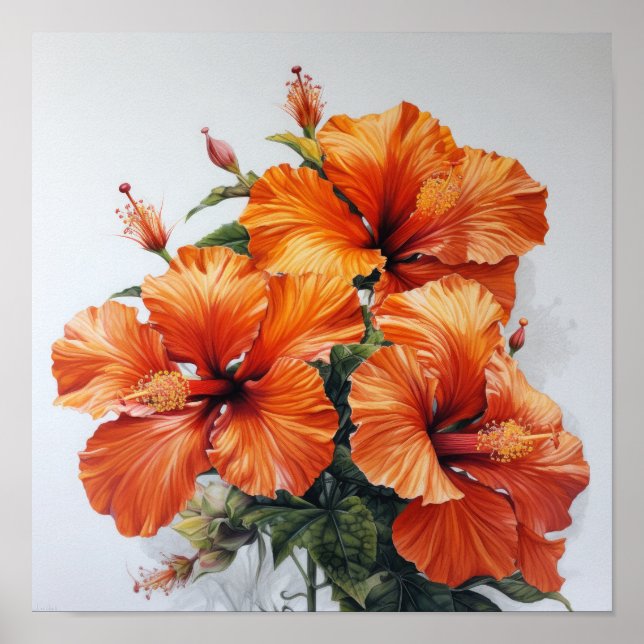 Laranja Hibiscus Flower Art Impressão (Frente)