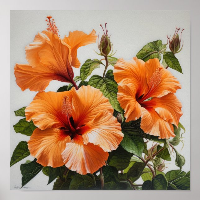 Laranja Hibiscus Flower Art Impressão (Frente)
