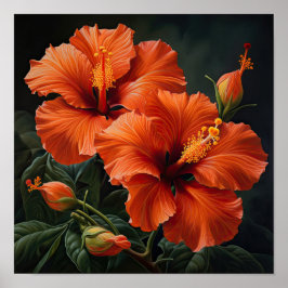 Laranja Hibiscus Flower Art Impressão