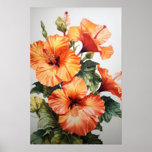 Laranja Hibiscus Flower Art Impressão