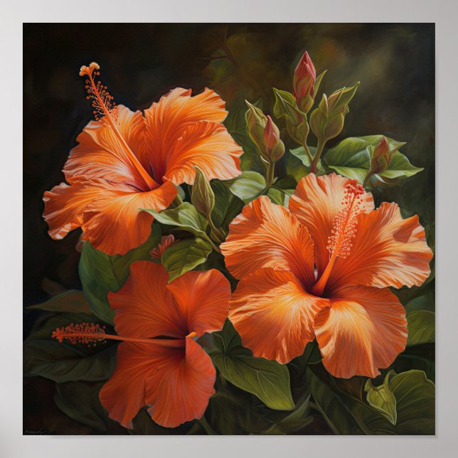Laranja Hibiscus Flower Art Impressão (Frente)