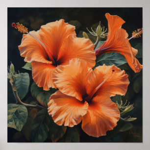 Laranja Hibiscus Flower Art Impressão