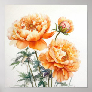 Laranja Peonias Flores Impressão