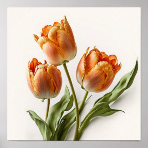 Laranja Tulipas Flor Impressão