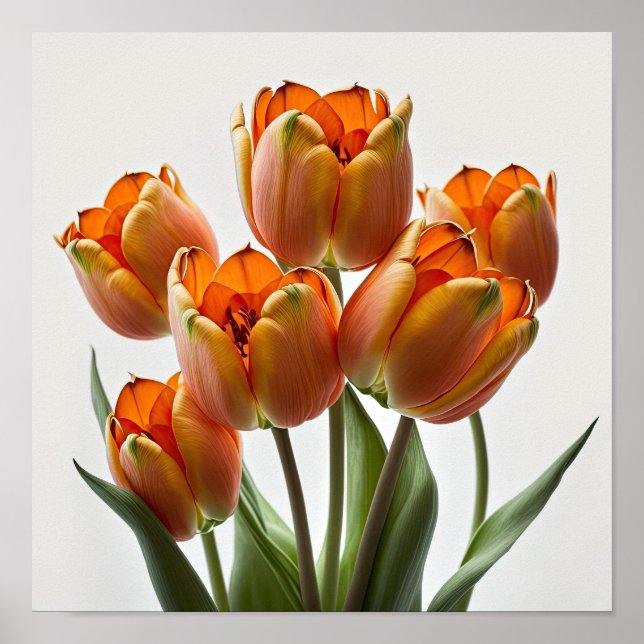 Laranja Tulipas Flor Impressão (Frente)