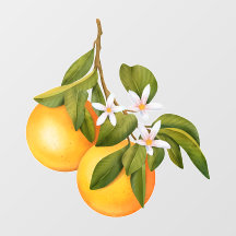 Laranjas e Flores em um Ramo Mercado