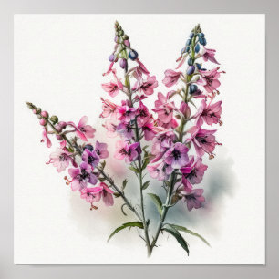 Larkspur Flower Art Poster