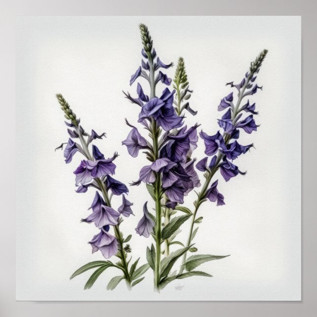 Larkspur Flower Impressão (Frente)