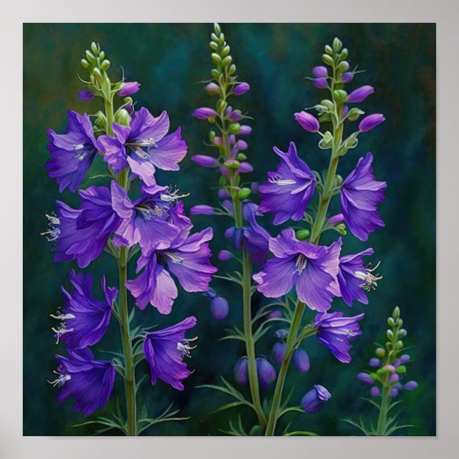 Larkspur Flower Impressão (Frente)