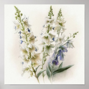 Larkspur Impressão