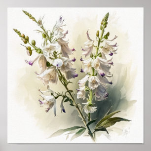 Larkspur Impressão
