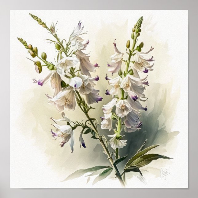 Larkspur Impressão (Frente)