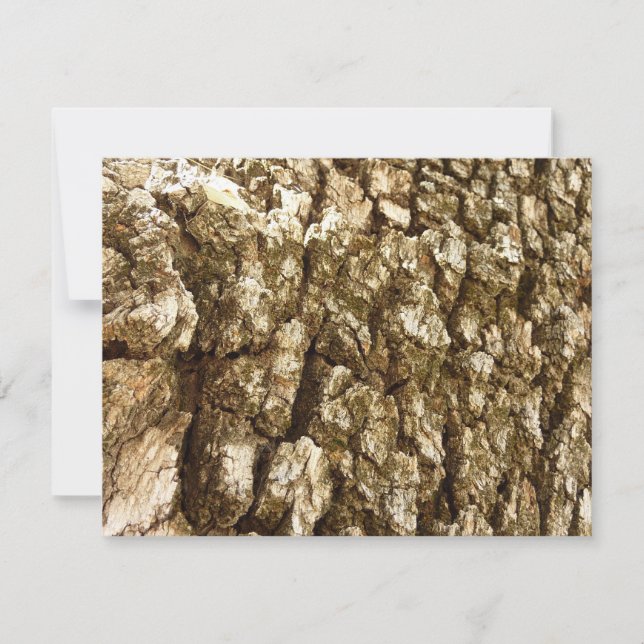 Latido de Árvore II Textura natural Design (Frente)